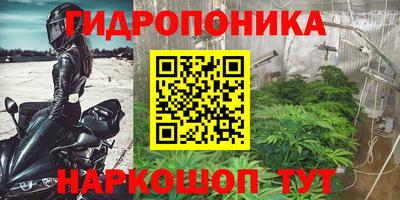 трава Гатчина
