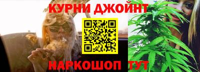 мдпв Гагарин