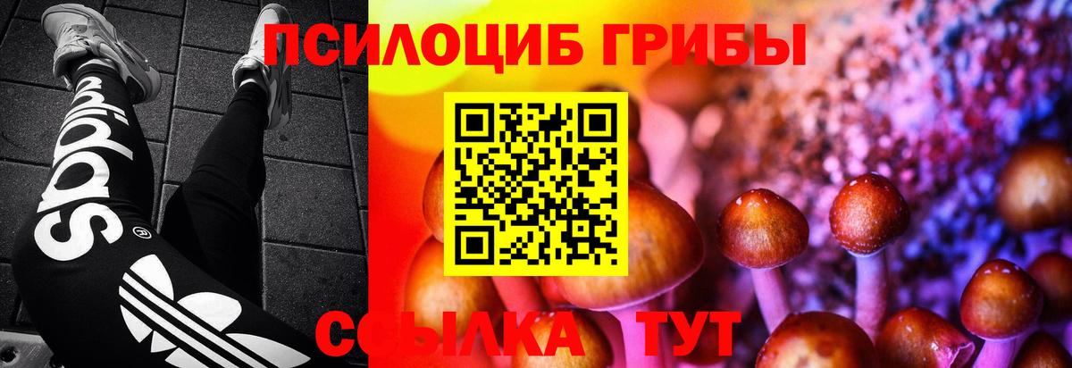Псилоцибиновые грибы мицелий Мыски