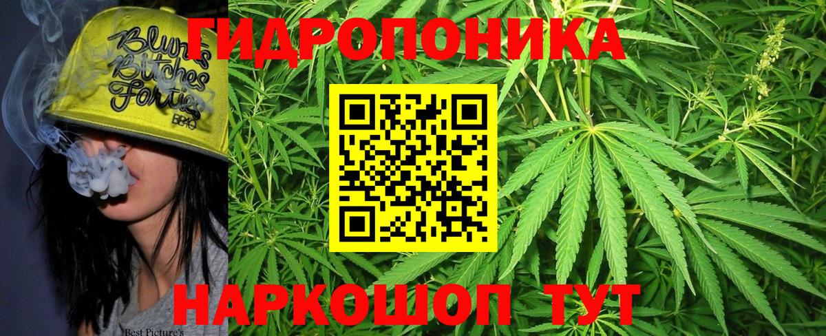 Бошки марихуана VHQ Мыски
